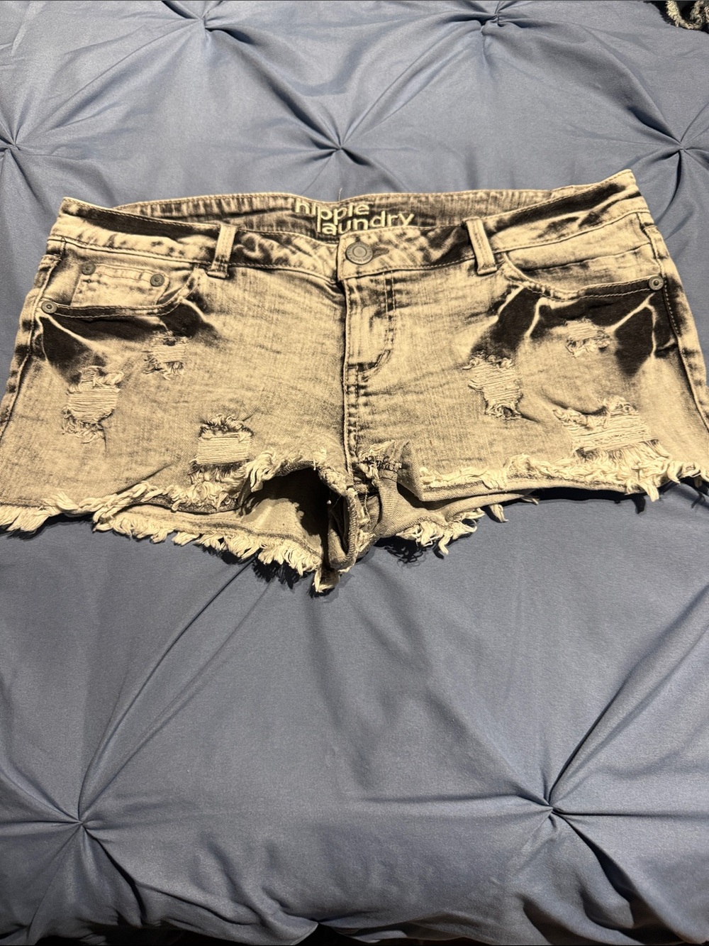 hippie laundry Light Gray Distressed Denim Jean Shorts